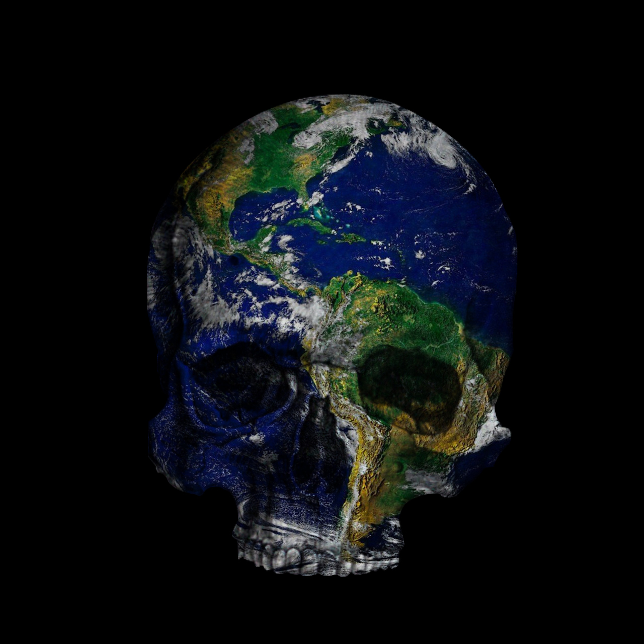 skull