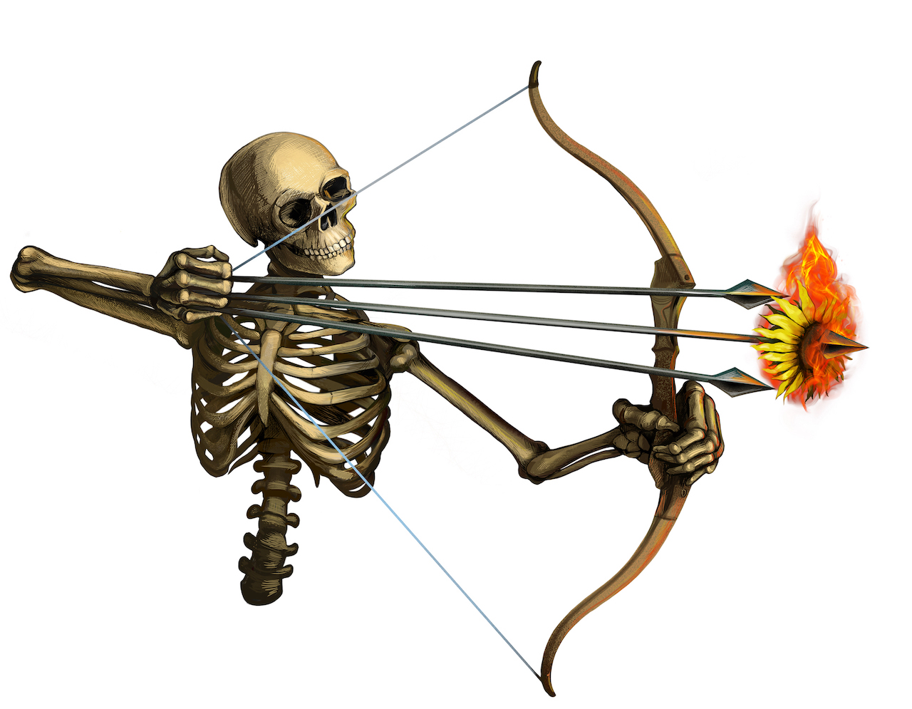 bow