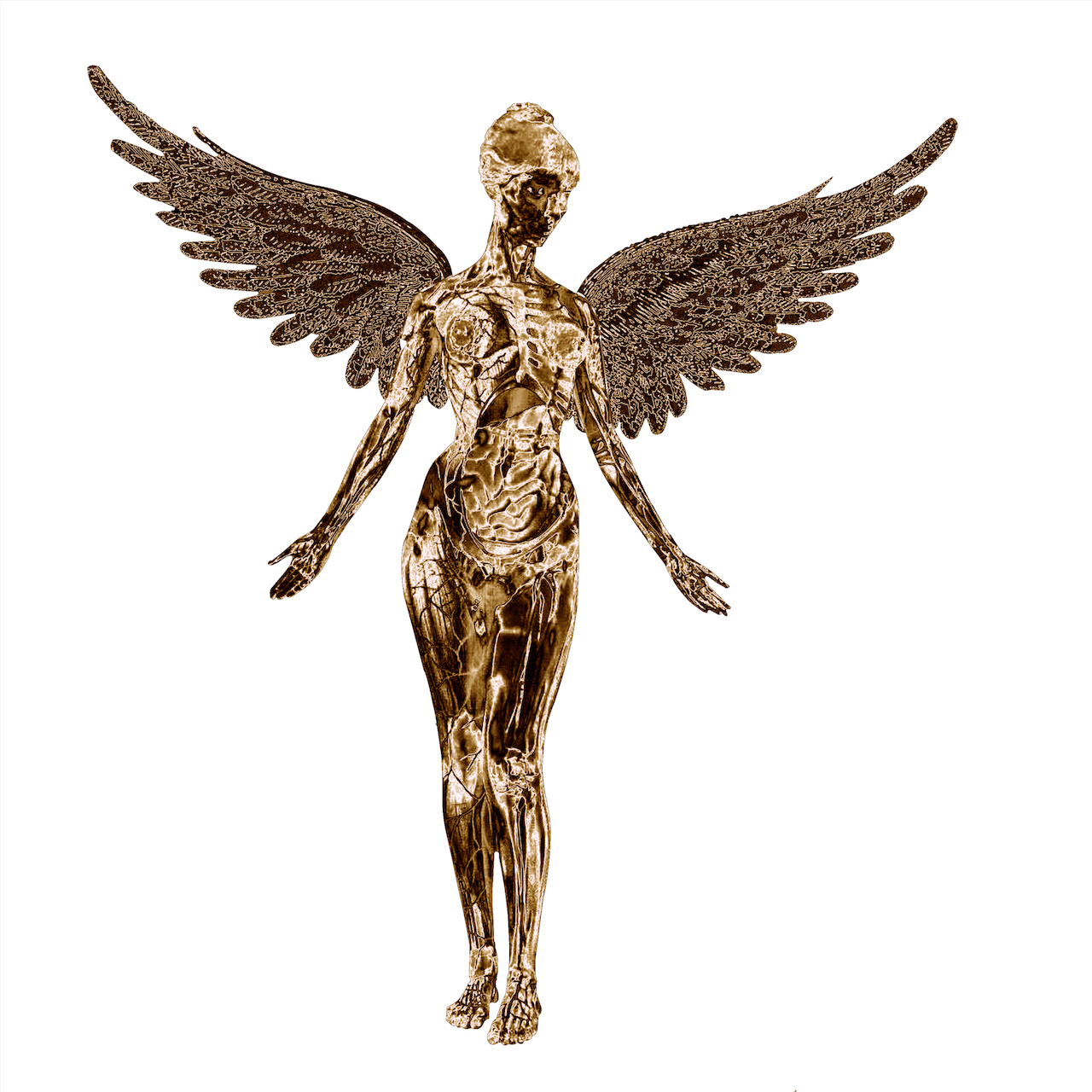 angel